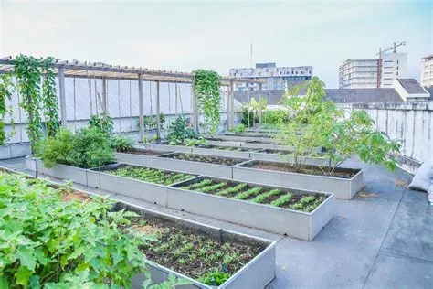  Rooftop Vegetable Gardening: An Inspiring Guide to Urban Farming - Cultivating Culinary Delights on Skyward Terraces